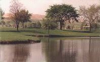 Community Soccer Field Across Lake