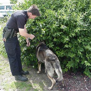 Rumble and Officer Atkinson