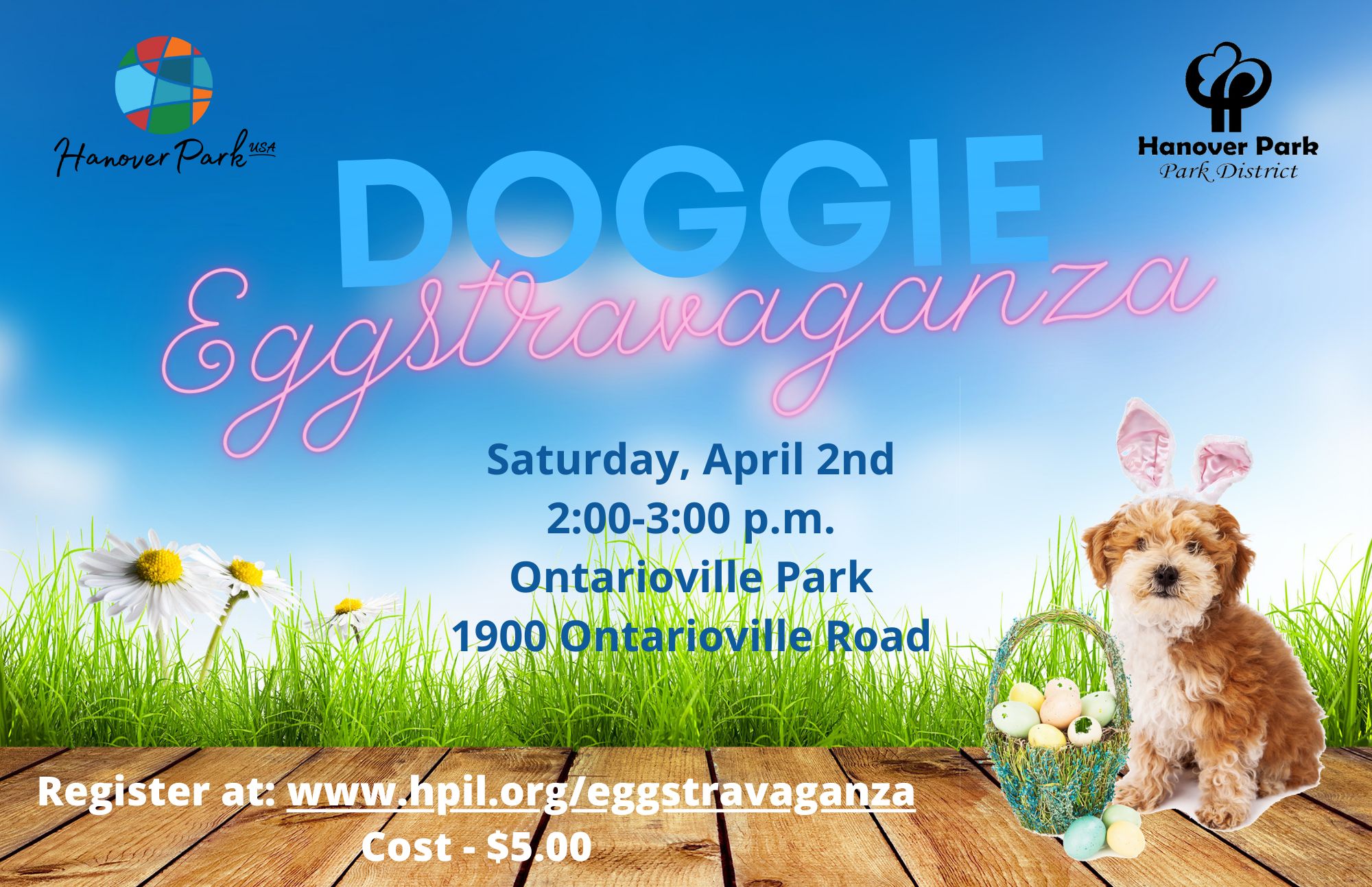 doggie eggstravaganza registration 22 flyer