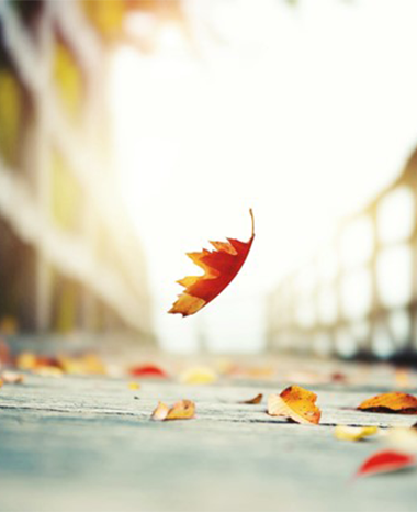 Picture1_David Webb updated