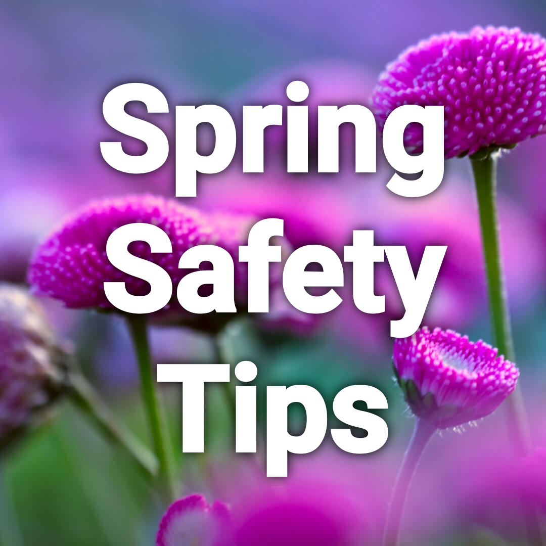 Spring Safety Button